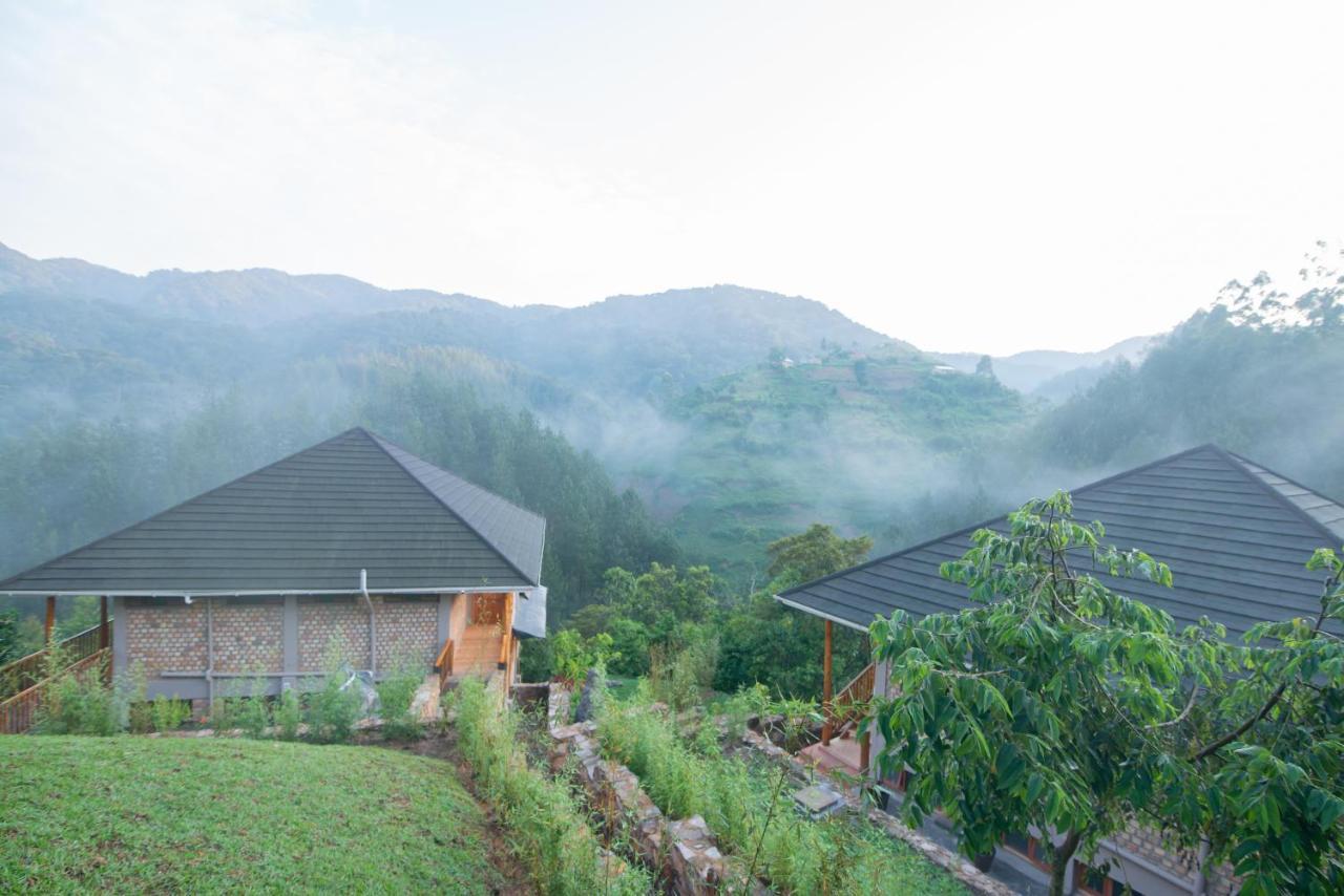 Gorilla Leisure Lodge Kisoro Ngoại thất bức ảnh