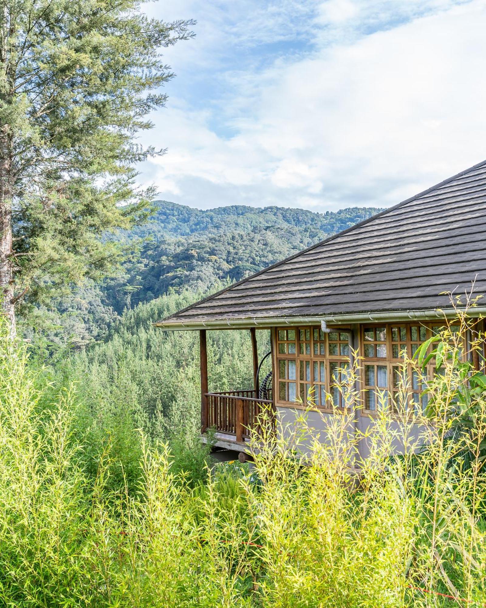 Gorilla Leisure Lodge Kisoro Ngoại thất bức ảnh